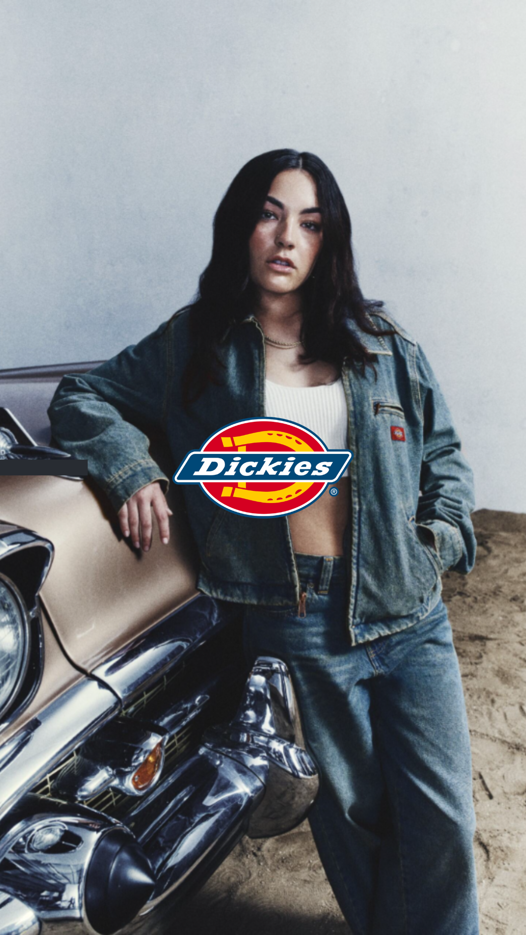 Dickies